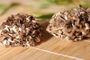 MEDICIN�LNE HUBY A RAKOVINA I.
