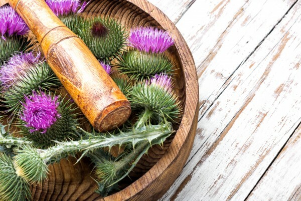 Jar je dobr pre pee, detoxikuje telo