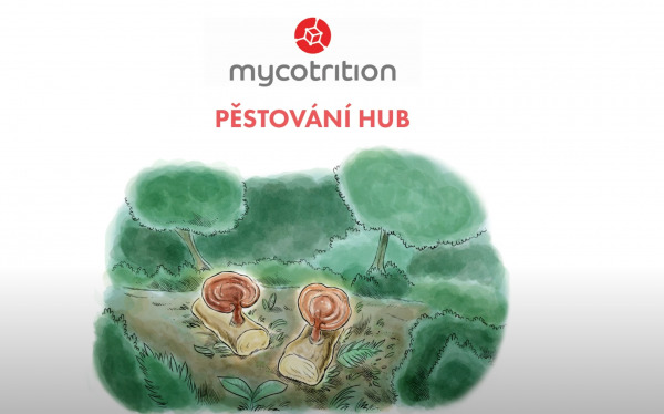 Pestovanie hb