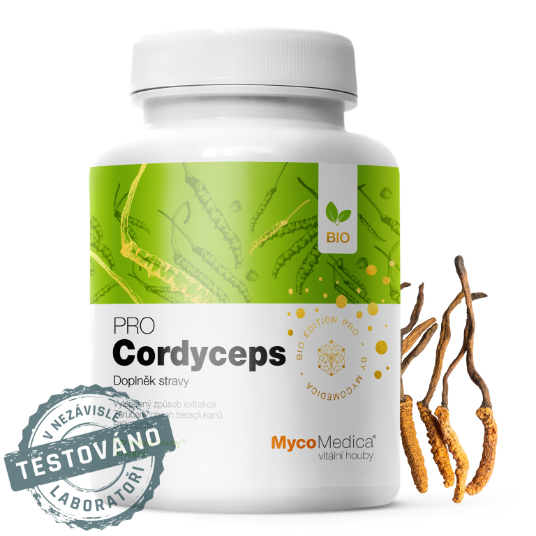 cordyceps-detail-s-razitkem-kopie.jpg