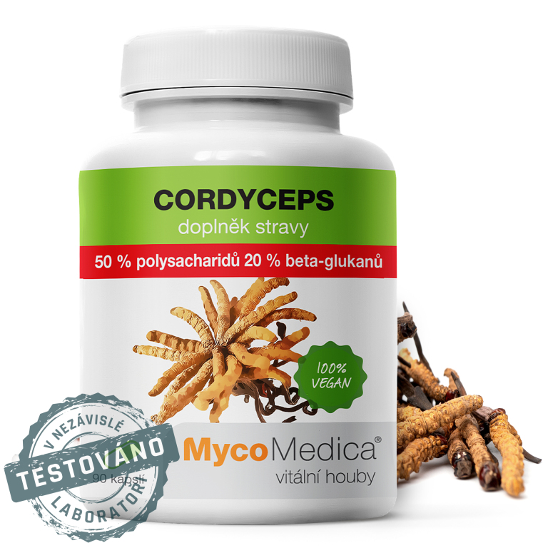 cordyceps-sinensis-50-detail-s-razitkem-kopie.jpg