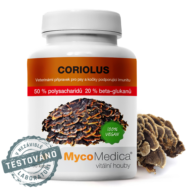 Coriolus_detail s razitkem_50%
