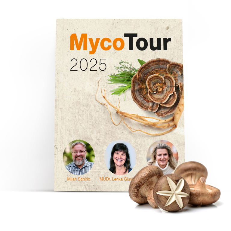 mycotour-2025-detail.jpg