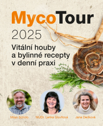 MycoTour 2025