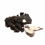 BIO prok Polyporus