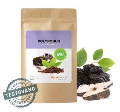 Polyporus-bio-powder_vitalni