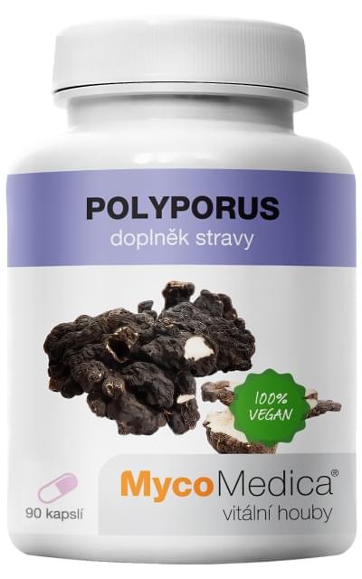 MycoMedica Polyporus 90 kapslí
