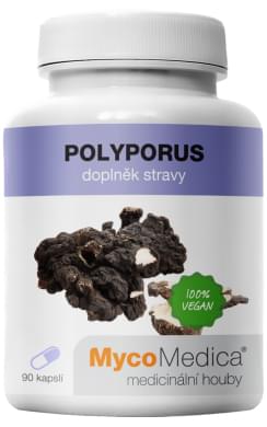 Polyporus_vpis